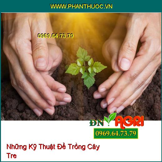 Những Kỹ Thuật Để Trồng Cây Tre