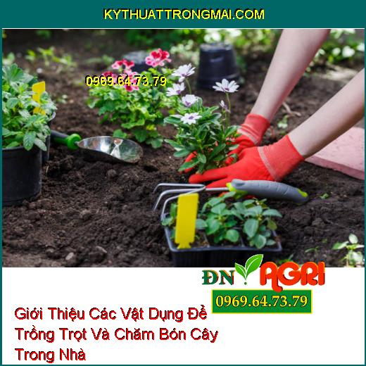 Giới Thiệu Các Vật Dụng Để Trồng Trọt Và Chăm Bón Cây Trong Nhà Hiệu Quả