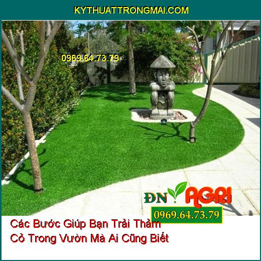 Các Bước Giúp Bạn Trải Thảm Cỏ Trong Vườn Mà Ai Cũng Biết