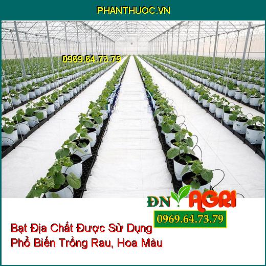 Bạt Địa Chất Được Sử Dụng Phổ Biến Trồng Rau, Hoa Màu