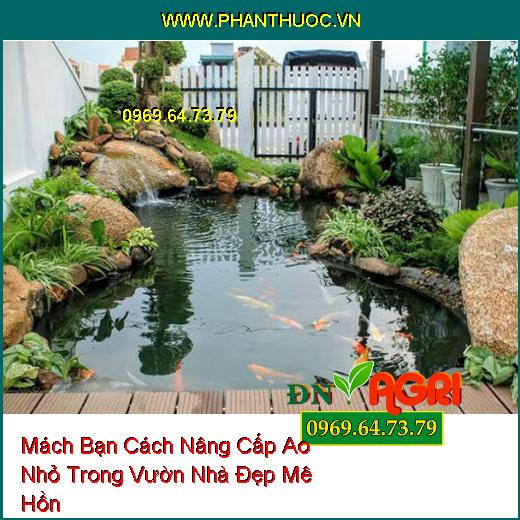 Mách Bạn Cách Nâng Cấp Ao Nhỏ Trong Vườn Nhà Đẹp Mê Hồn