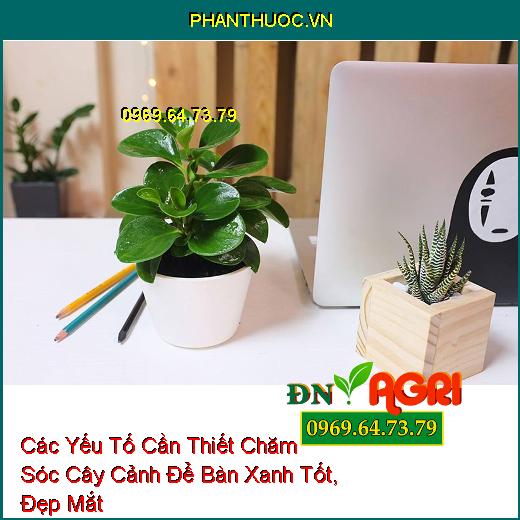 Các Yếu Tố Cần Thiết Chăm Sóc Cây Cảnh Để Bàn Xanh Tốt, Đẹp Mắt