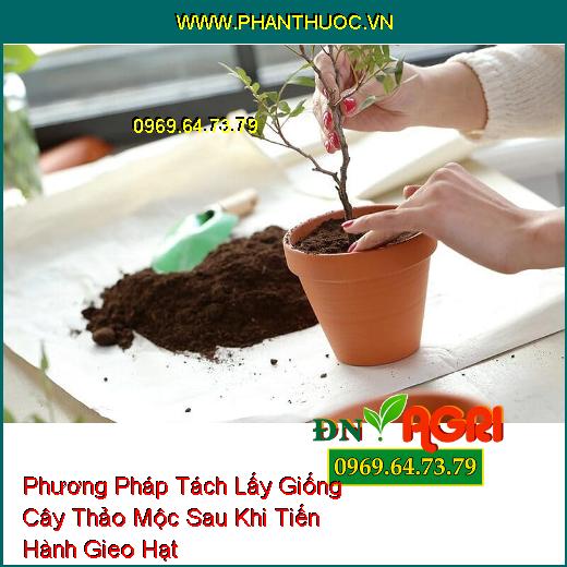 Phương Pháp Tách Lấy Giống Cây Thảo Mộc Sau Khi Tiến Hành Gieo Hạt