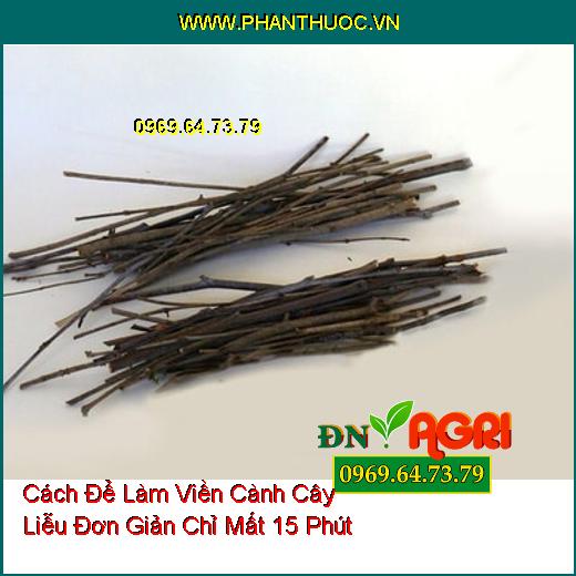 Cách Để Làm Viền Cành Cây Liễu Đơn Giản Chỉ Mất 15 Phút