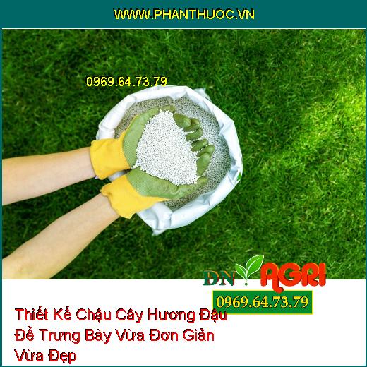 Thiết Kế Chậu Cây Hương Đậu Để Trưng Bày Vừa Đơn Giản Vừa Đẹp