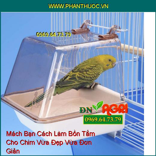 Mách Bạn Cách Làm Bồn Tắm Cho Chim Vừa Đẹp Vừa Đơn Giản