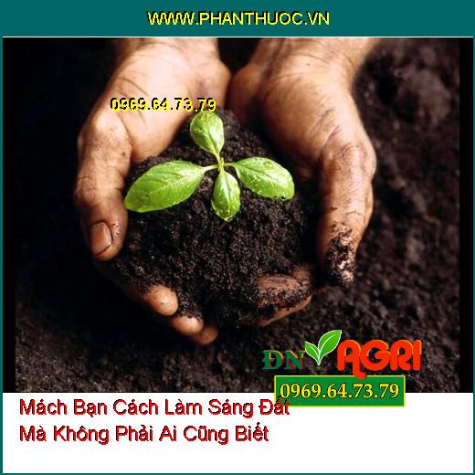 Mách Bạn Cách Làm Sáng Đất Mà Không Phải Ai Cũng Biết