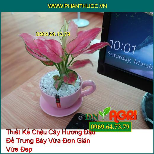 Thiết Kế Chậu Cây Hương Đậu Để Trưng Bày Vừa Đơn Giản Vừa Đẹp