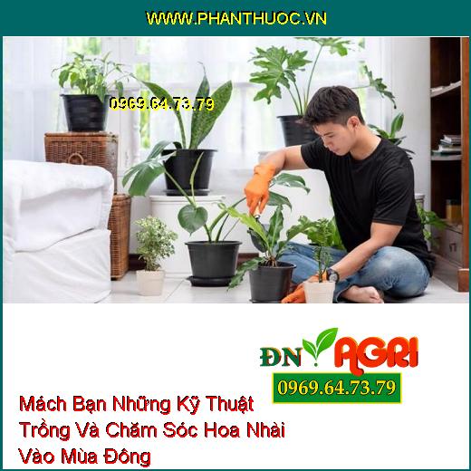 Mách Bạn Những Kỹ Thuật Trồng Và Chăm Sóc Hoa Nhài Vào Mùa Đông