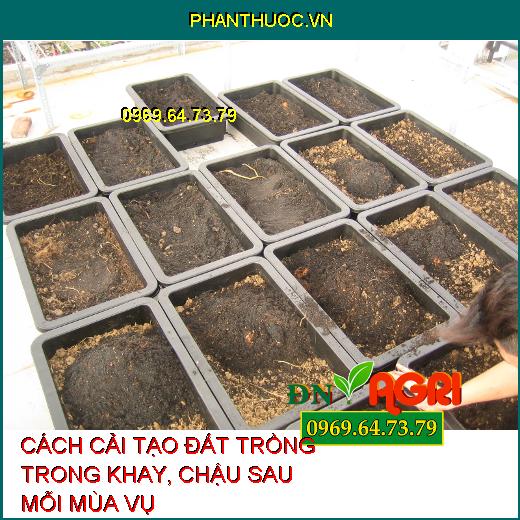 CÁCH CẢI TẠO ĐẤT TRỒNG TRONG KHAY, CHẬU SAU MỖI MÙA VỤ