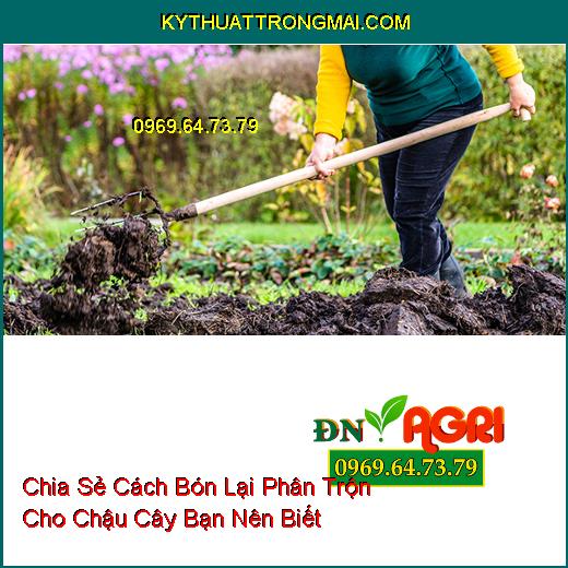 Chia Sẻ Cách Bón Lại Phân Trộn Cho Chậu Cây Bạn Nên Biết