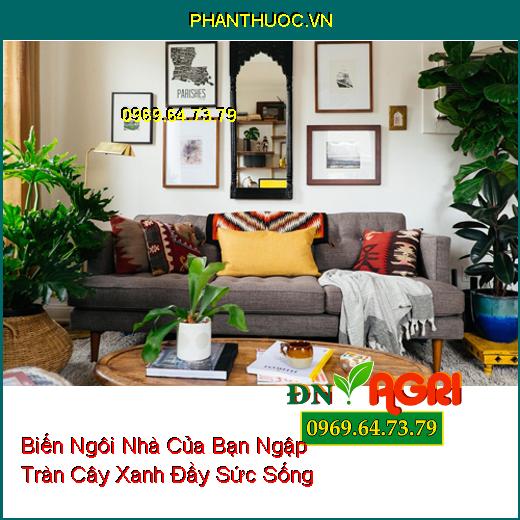 Thủ Thuật Biến Ngôi Nhà Của Bạn Ngập Tràn Cây Xanh Đầy Sức Sống