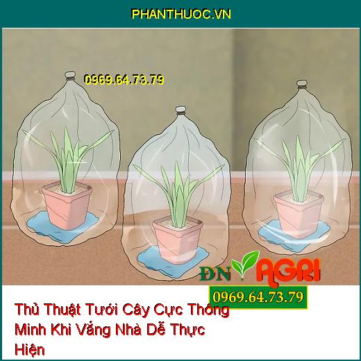 7 Thủ Thuật Tưới Cây Cực Thông Minh Khi Vắng Nhà Dễ Thực Hiện