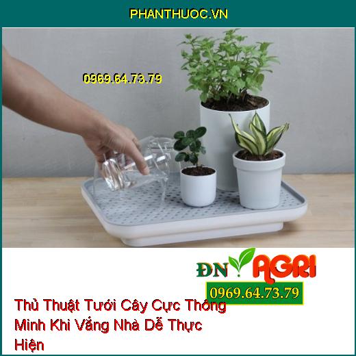 7 Thủ Thuật Tưới Cây Cực Thông Minh Khi Vắng Nhà Dễ Thực Hiện