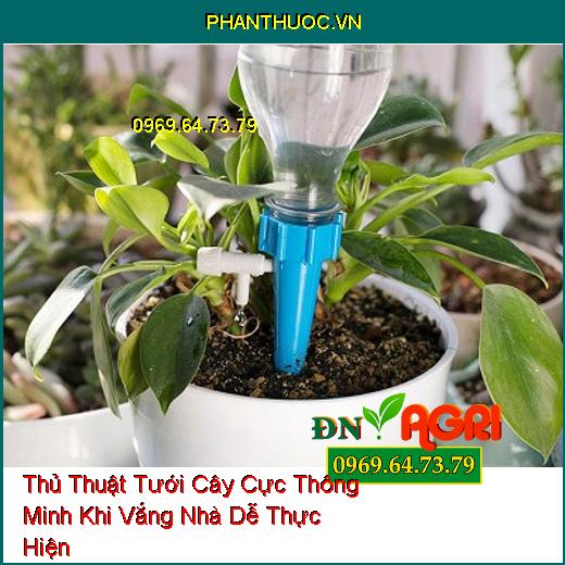 7 Thủ Thuật Tưới Cây Cực Thông Minh Khi Vắng Nhà Dễ Thực Hiện