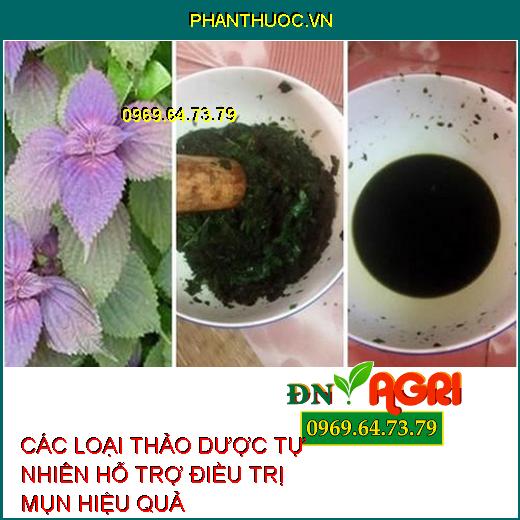 các loại thảo dược tự nhiên là một giải pháp an toàn và hiệu quả hơn. Để giúp bạn có được thông tin chi tiết hơn về các loại lá hỗ trợ trị mụn và làm đẹp da