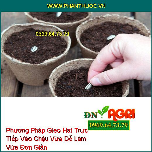 Phương Pháp Gieo Hạt Trực Tiếp Vào Chậu Vừa Dễ Làm Vừa Đơn Giản