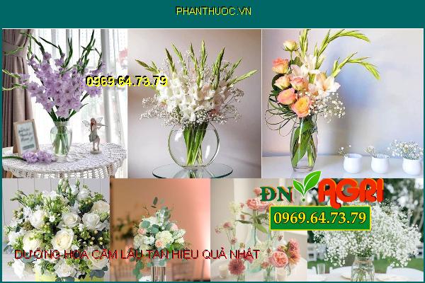 3 bước "thần kỳ" dưỡng hoa cắm lâu tàn để tận hưởng vẻ đẹp của hoa trong thời gian dài