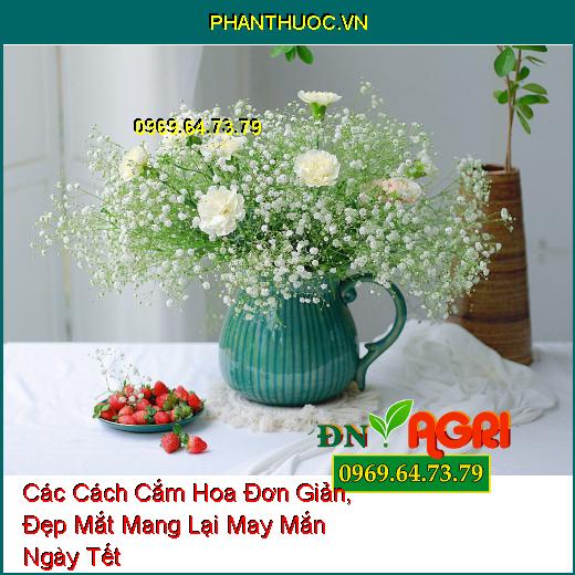 Các Cách Cắm Hoa Đơn Giản, Đẹp Mắt Mang Lại May Mắn Ngày Tết