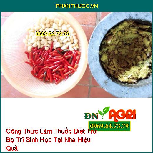 7 Công Thức Làm Thuốc Diệt Trừ Bọ Trĩ Sinh Học Tại Nhà Hiệu Quả