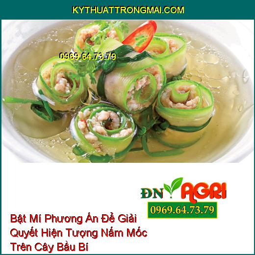 Bật Mí Phương Án Để Giải Quyết Hiện Tượng Nấm Mốc Trên Cây Bầu Bí