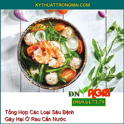 Tổng Hợp Các Loại Sâu Bệnh Gây Hại Ở Rau Cần Nước Phổ Biến Nhất