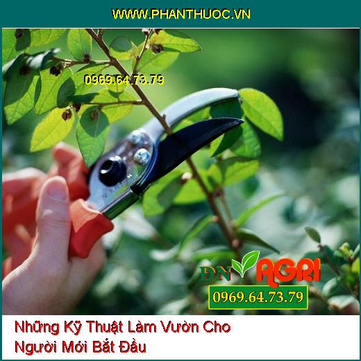 Những Kỹ Thuật Làm Vườn Cho Người Mới Bắt Đầu