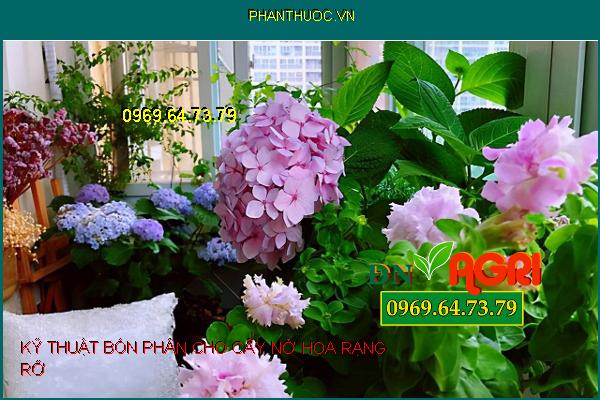 3 Kỹ Thuật Bón Phân Để Cây Phát Triển Tốt Quanh Năm, Hoa Nở Rạng Rỡ