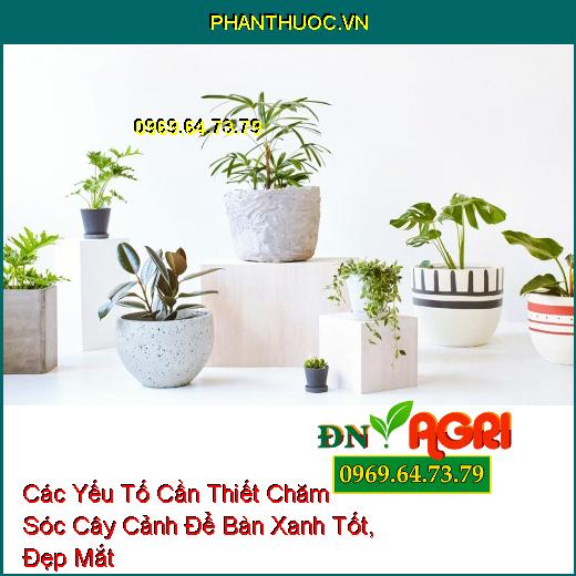 Các Yếu Tố Cần Thiết Chăm Sóc Cây Cảnh Để Bàn Xanh Tốt, Đẹp Mắt