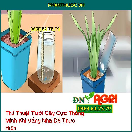 7 Thủ Thuật Tưới Cây Cực Thông Minh Khi Vắng Nhà Dễ Thực Hiện