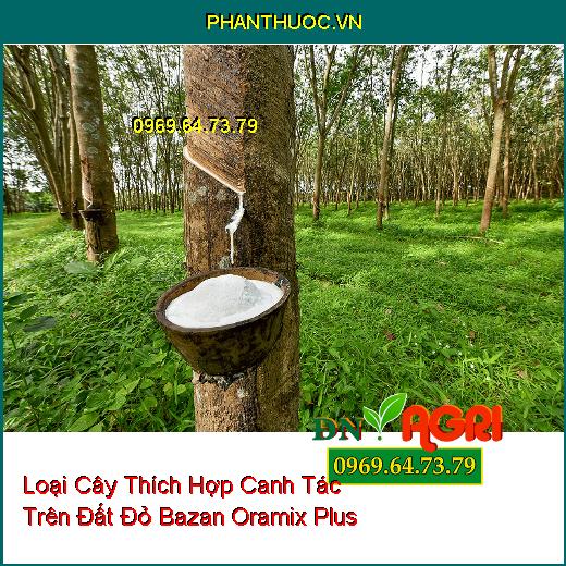 10 Loại Cây Thích Hợp Canh Tác Trên Đất Đỏ Bazan Oramix Plus