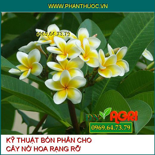 3 Kỹ Thuật Bón Phân Để Cây Phát Triển Tốt Quanh Năm, Hoa Nở Rạng Rỡ