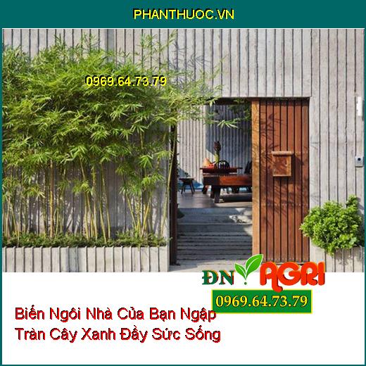 Thủ Thuật Biến Ngôi Nhà Của Bạn Ngập Tràn Cây Xanh Đầy Sức Sống