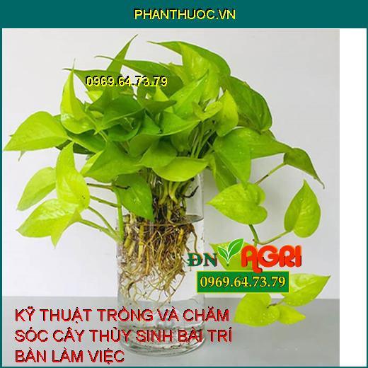 KỸ THUẬT TRỒNG VÀ CHĂM SÓC CÂY THỦY SINH BÀI TRÍ BÀN LÀM VIỆC