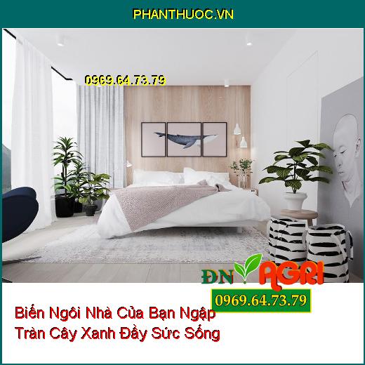 Thủ Thuật Biến Ngôi Nhà Của Bạn Ngập Tràn Cây Xanh Đầy Sức Sống