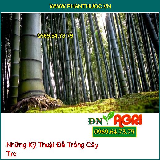 Những Kỹ Thuật Để Trồng Cây Tre