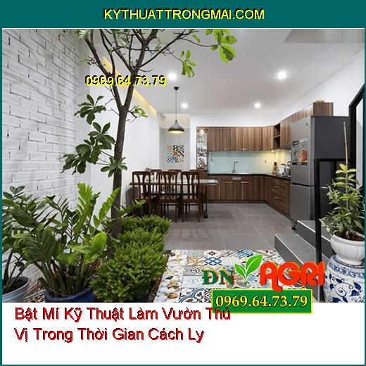 Bật Mí Kỹ Thuật Làm Vườn Thú Vị Trong Thời Gian Cách Ly