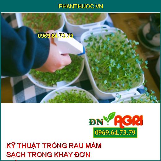 KỸ THUẬT TRỒNG RAU MẦM SẠCH TRONG KHAY ĐƠN GIẢN