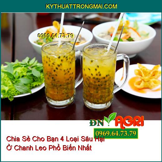 Chia Sẻ Cho Bạn 4 Loại Sâu Hại Ở Chanh Leo Phổ Biến Nhất