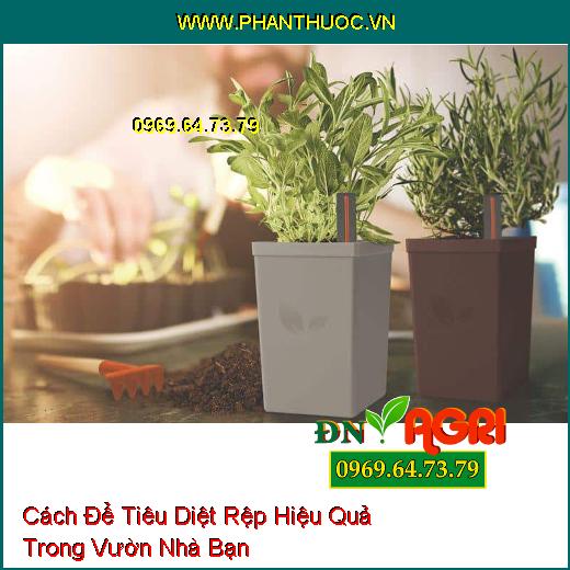 Cách Để Tiêu Diệt Rệp Hiệu Quả Trong Vườn Nhà Bạn