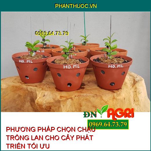 PHƯƠNG PHÁP CHỌN CHẬU TRỒNG LAN CHO CÂY PHÁT TRIỂN TỐI ƯU