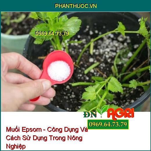 Muối Epsom - Công Dụng Và Cách Sử Dụng Trong Nông Nghiệp