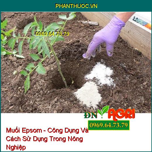 Muối Epsom - Công Dụng Và Cách Sử Dụng Trong Nông Nghiệp