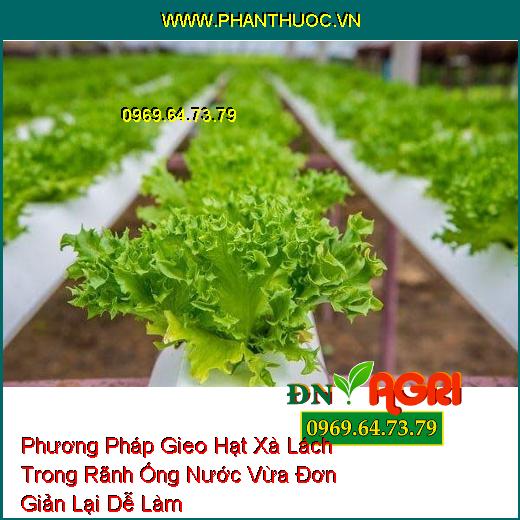 Phương Pháp Gieo Hạt Xà Lách Trong Rãnh Ống Nước Vừa Đơn Giản Lại Dễ Làm