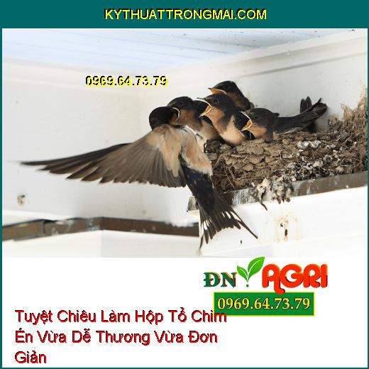 Tuyệt Chiêu Làm Hộp Tổ Chim Én Vừa Dễ Thương Vừa Đơn Giản