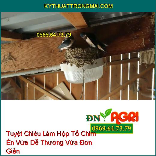 Tuyệt Chiêu Làm Hộp Tổ Chim Én Vừa Dễ Thương Vừa Đơn Giản