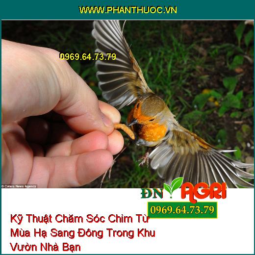 Kỹ Thuật Chăm Sóc Chim Từ Mùa Hạ Sang Đông Trong Khu Vườn Nhà Bạn 