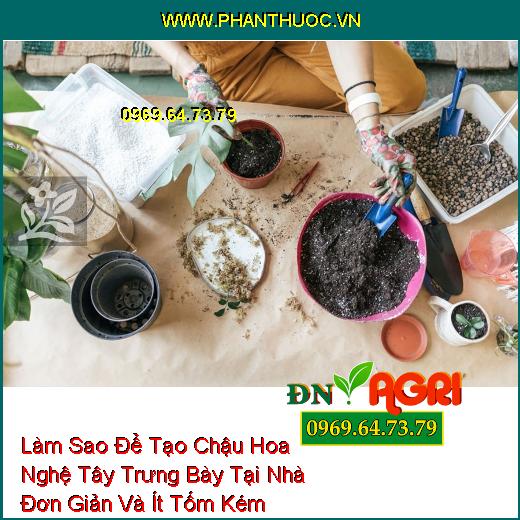 Làm Sao Để Tạo Chậu Hoa Nghệ Tây Trưng Bày Tại Nhà Đơn Giản Và Ít Tốm Kém