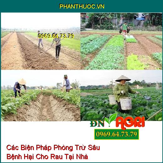 Các Biện Pháp Phòng Trừ Sâu Bệnh Hại Cho Rau Tại Nhà