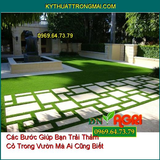 Các Bước Giúp Bạn Trải Thảm Cỏ Trong Vườn Mà Ai Cũng Biết